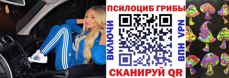 Купить где  Мытищи  Галлюциногенные грибы Psilocybine cubensis 